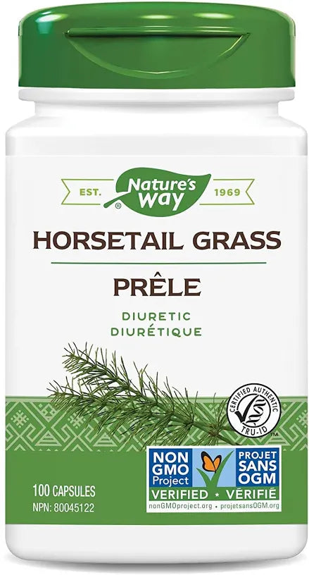 NW HORSE TAIL GRASS 100'S