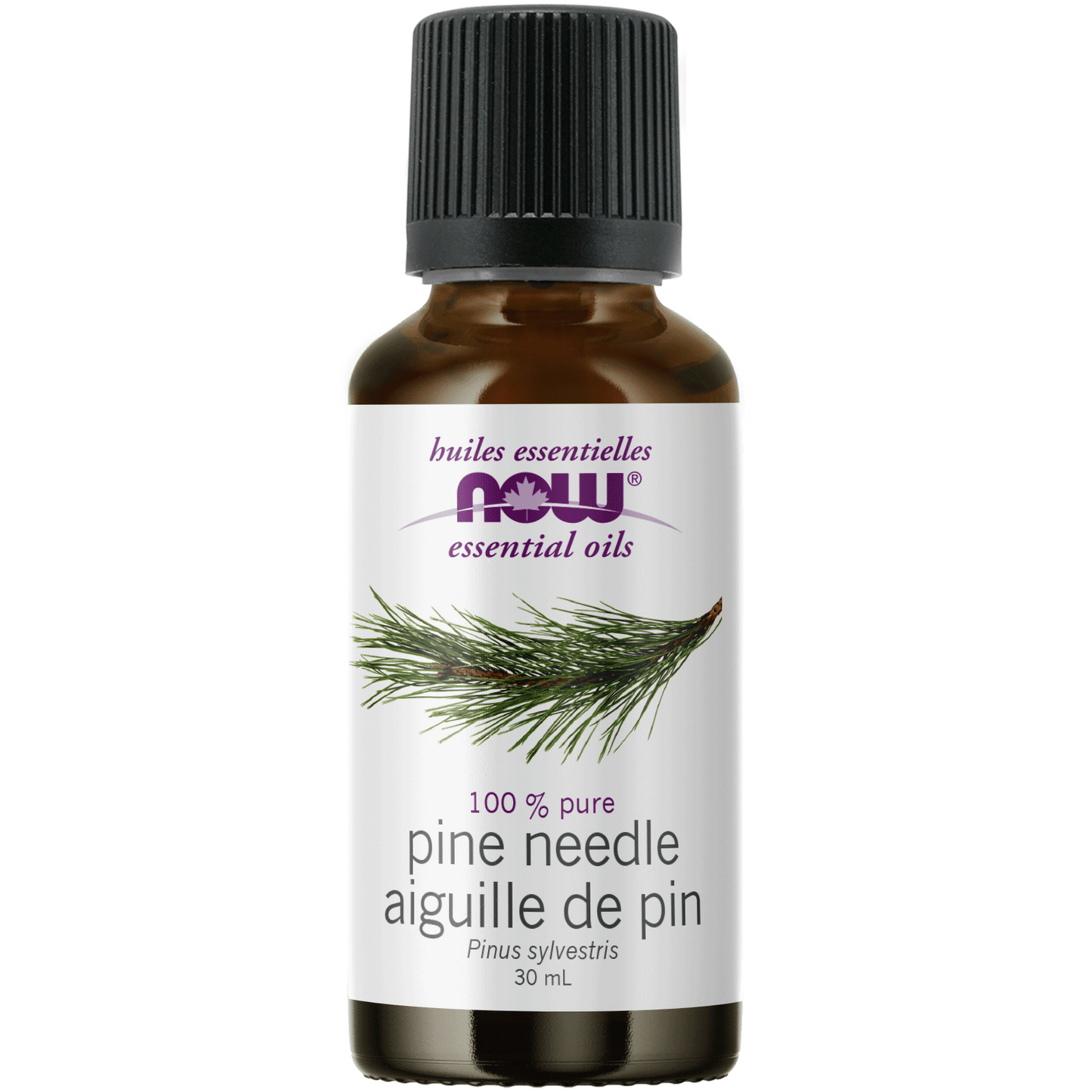 NOW PINE NEEDLE OIL 30ML