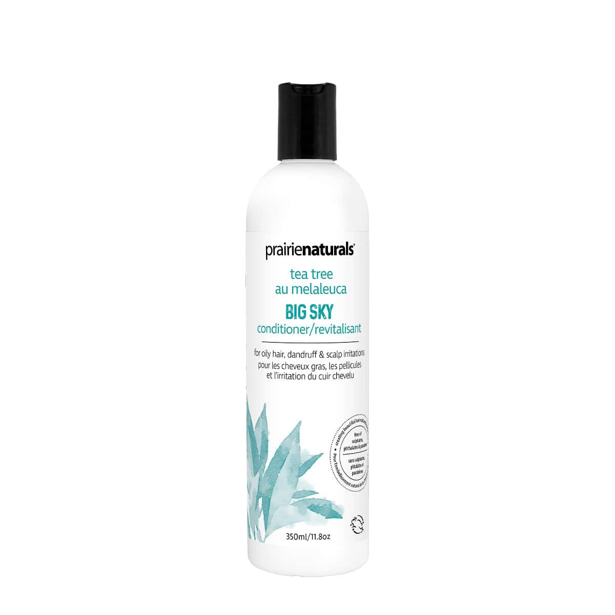 PR NAT CONDITIONER BIG SKY 350ML