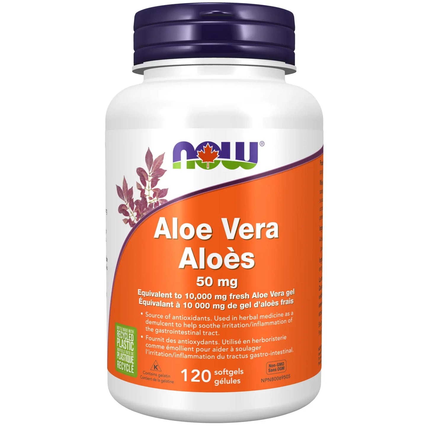 NOW ALOE CONCENTRATE 50MG 120'S