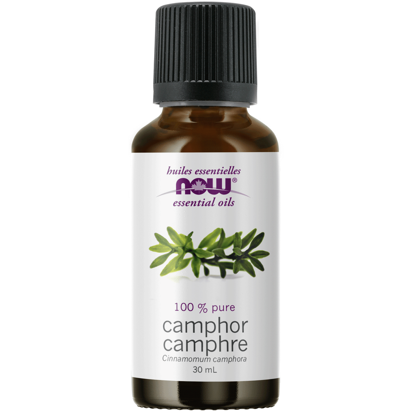 NOW CAMPHOR OIL 30ML