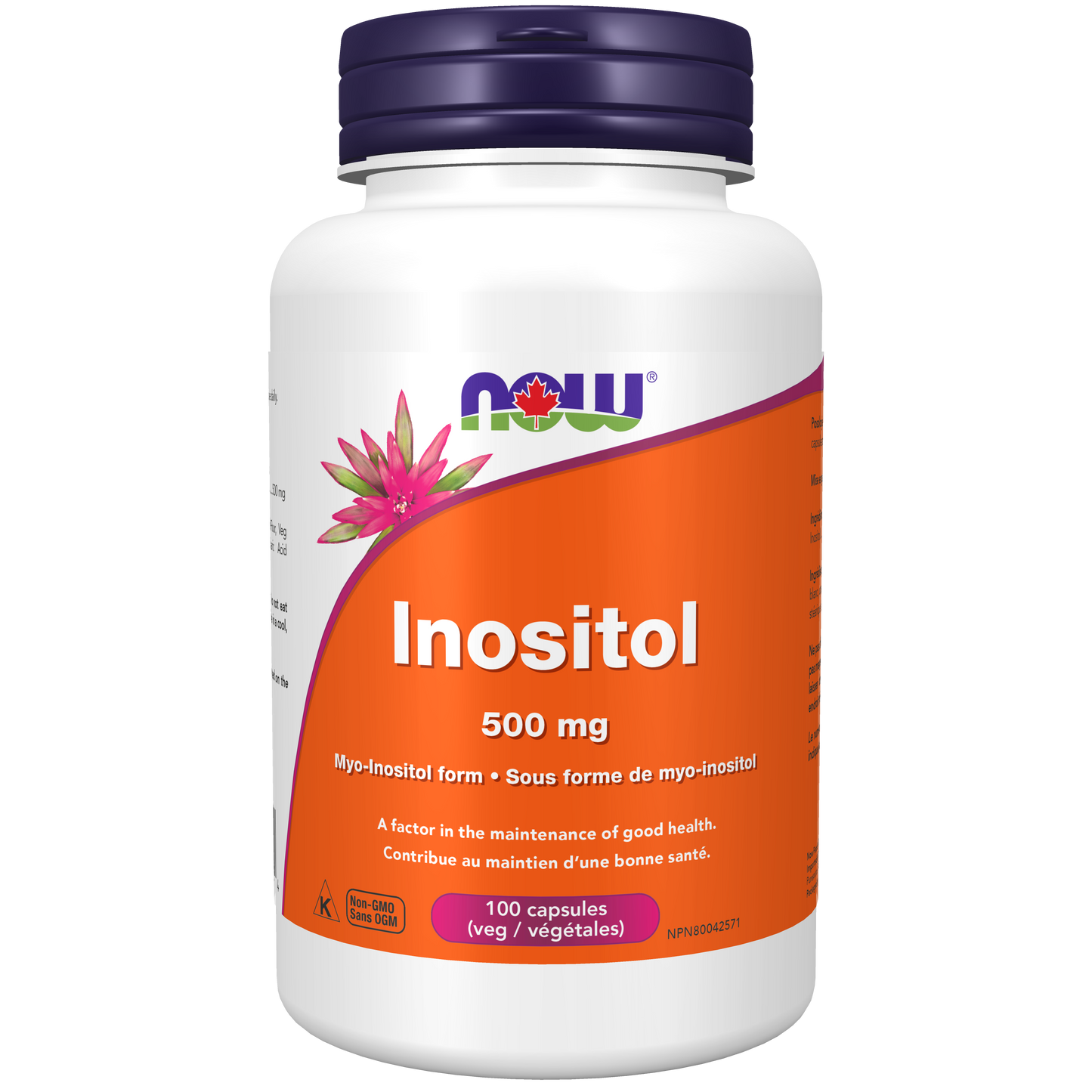 NOW INOSITOL 500MG 100'S