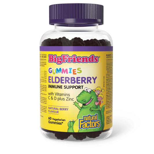 NF BIGFRIENDS ELDERBERRY GUMMIES 60'S