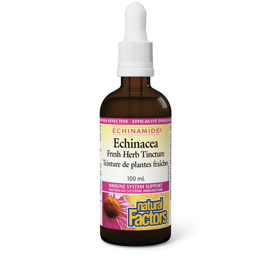 NF ECHINAMIDE TINCTURE 100ML