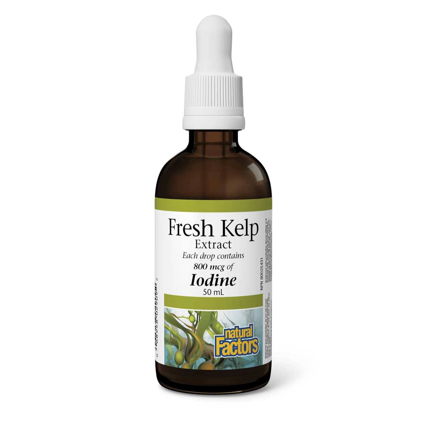 NF KELP LIQUID 50ML