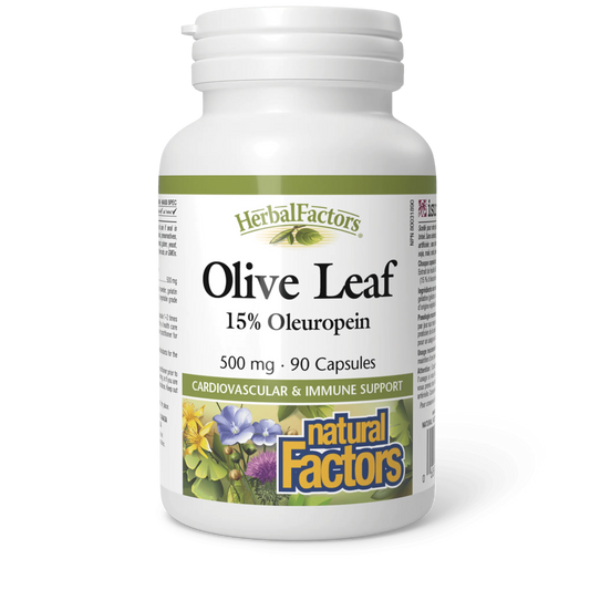 NF OLIVE LEAF 500MG 90'S